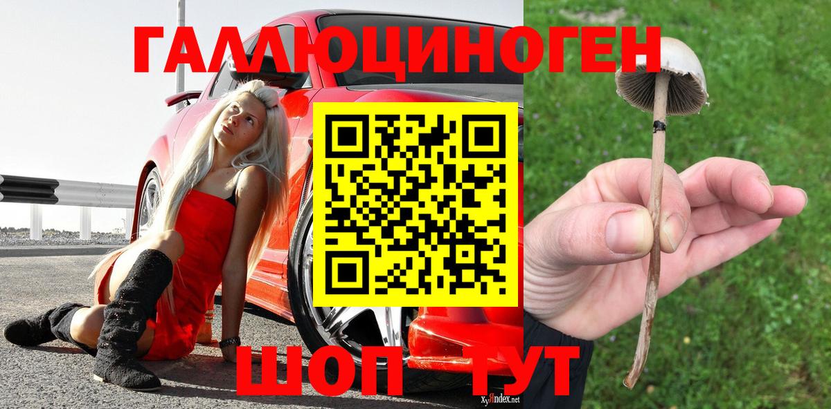 Псилоцибиновые грибы мухоморы  Вход с VPN  как найти закладки  Симферополь 