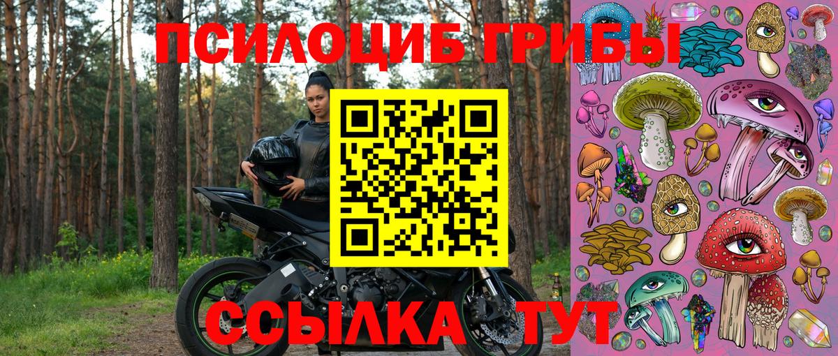 Галлюциногенные грибы Cubensis Симферополь
